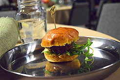 CAMP EVAN BAR MITZVAH